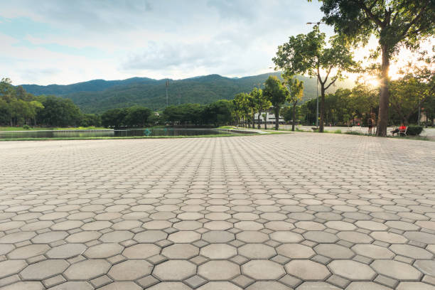 Best Local Driveway Pavers  in Runaway Bay, TX